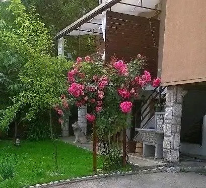 Charming Sarajevo